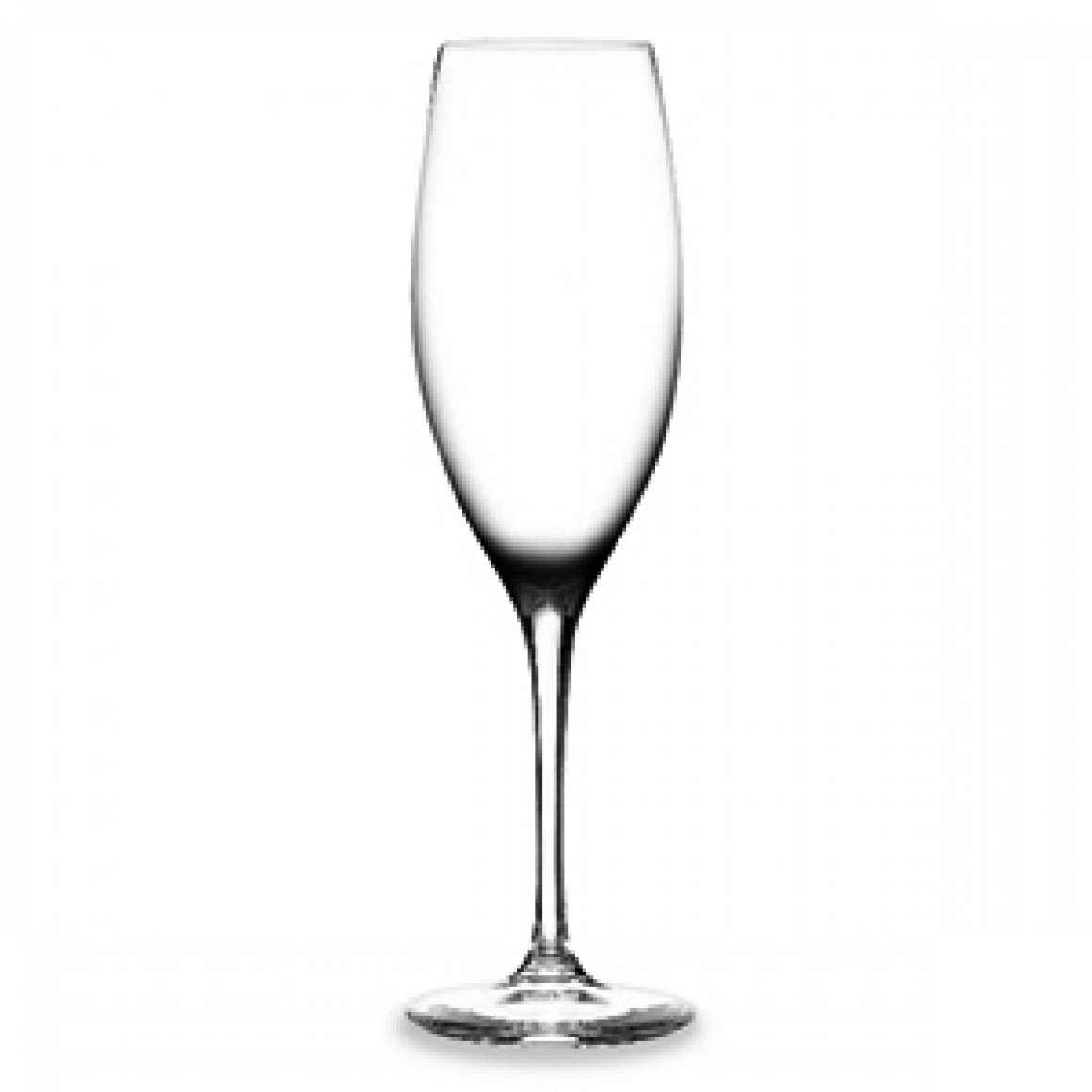 Champagne flute 23cl