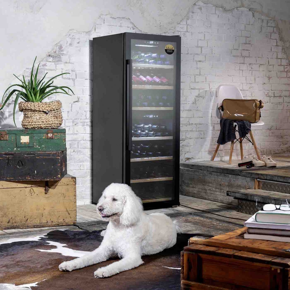 Wine cooler Exclusive CASO 126 Smart Wine cooler Exclusive CASO 126 Smart