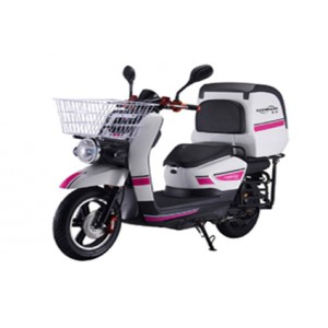 Food delivery electrobike (1)