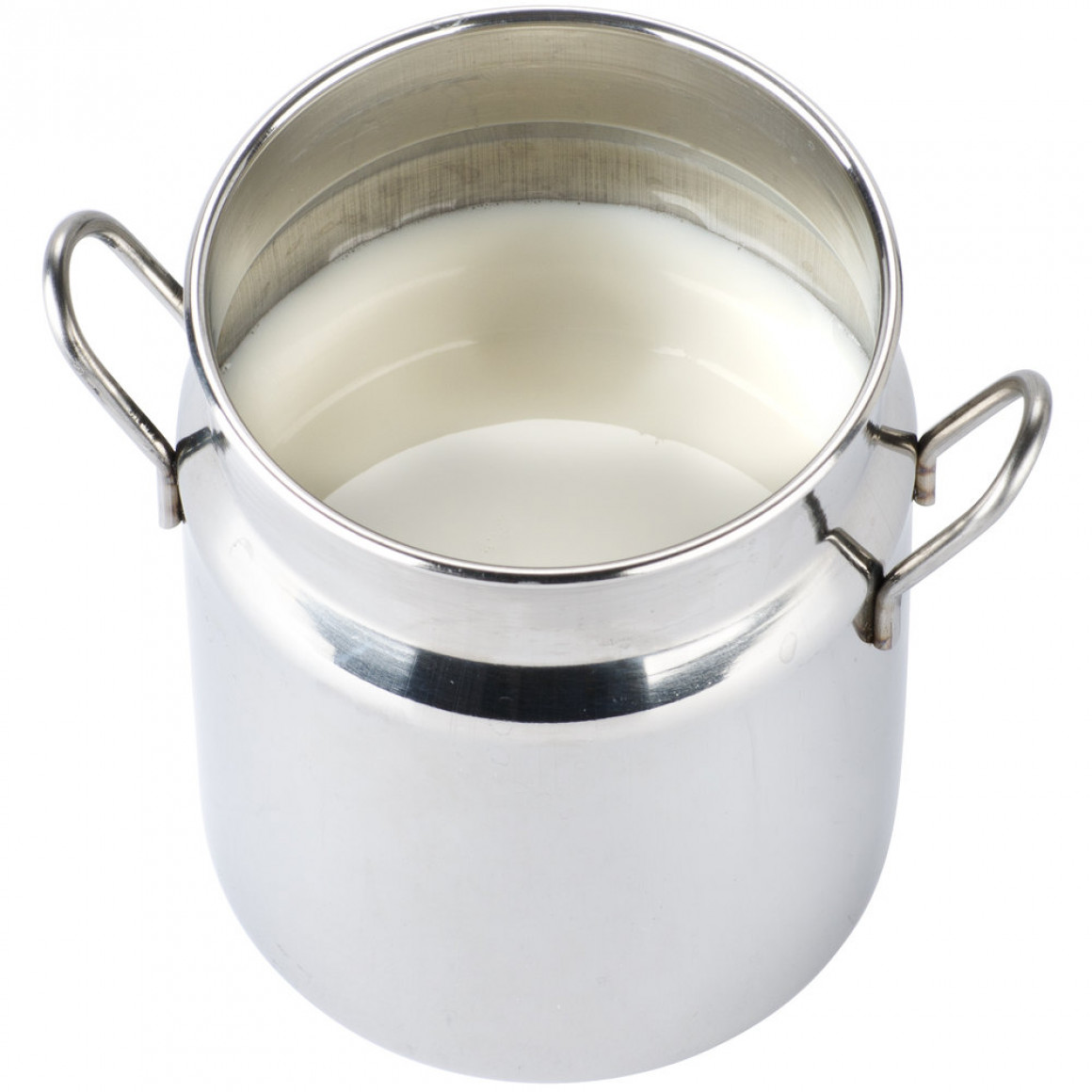 STAINLESS STEEL MILK CAN, 10 OZ.